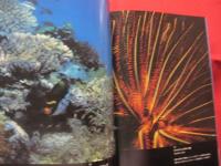 沖縄の海と自然   　　  館石 昭 　写真集 　  　　　  【沖縄・琉球・歴史・文化】