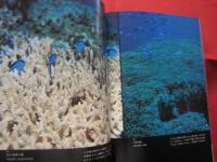 沖縄の海と自然   　　  館石 昭 　写真集 　  　　　  【沖縄・琉球・歴史・文化】