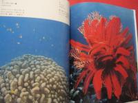 沖縄の海と自然   　　  館石 昭 　写真集 　  　　　  【沖縄・琉球・歴史・文化】