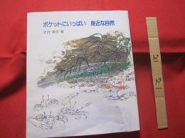 ポケットにいっぱい    　　身近な自然　　　     【沖縄・琉球・文化・生物・動物・植物・昆虫】