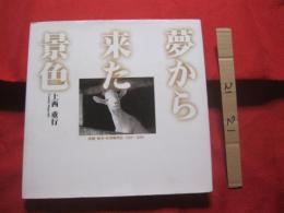 夢から来た景色     沖縄・奄美・吐喇列島　 １９８８ ～ ２０００　  　上西 重行 著    　　　　　　　【沖縄・琉球・歴史・文化・自然・写真集】