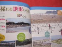 親子で楽しむ　　 　　　沖縄の潮干狩と磯遊び　　　　　フィッシング沖縄社　発行　　　　　　　　 【沖縄・琉球・自然・アウトドア・レジャー】
