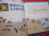 親子で楽しむ　　 　　　沖縄の潮干狩と磯遊び　　　　　フィッシング沖縄社　発行　　　　　　　　 【沖縄・琉球・自然・アウトドア・レジャー】