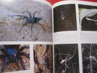 ☆《 生態写真集 》    沖縄の生物    監修 池原貞雄 （ 琉球大学理学博士 ）   初島  住彦 （ 農学博士 ）           【沖縄・琉球・自然・動物・植物・昆虫】