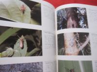 ☆《 生態写真集 》    沖縄の生物    監修 池原貞雄 （ 琉球大学理学博士 ）   初島  住彦 （ 農学博士 ）           【沖縄・琉球・自然・動物・植物・昆虫】