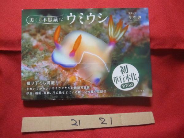 美しく不思議なウミウシ きれいでかわいいウミウシたちの最新写真集 伊豆 越前 真鶴 八丈島などにいる新しい仲間も収録 全７６点 自然 生物 動物 癒し 写真 文 今本 淳 文華堂書店 古本 中古本 古書籍の通販は 日本の古本屋 日本の古本屋