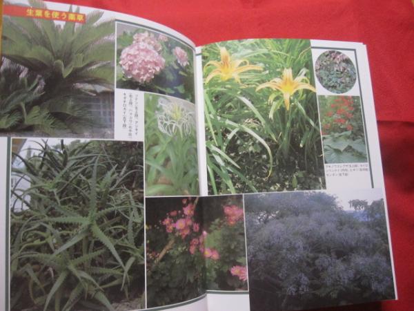 誰にでもできる薬草の利用法 おきなわの薬草百科 沖縄の薬草百科