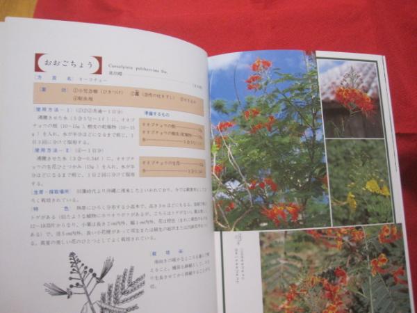 誰にでもできる薬草の利用法 おきなわの薬草百科 沖縄の薬草百科