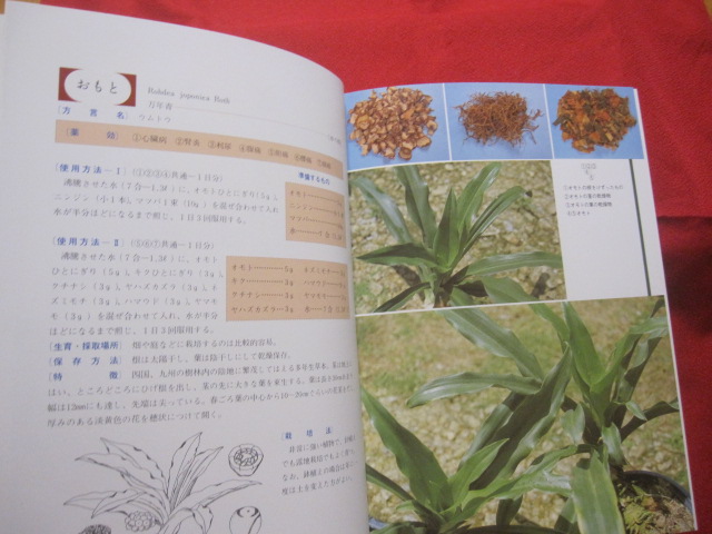 誰にでもできる薬草の利用法 おきなわの薬草百科 沖縄の薬草百科