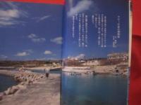 ナビィの恋 　　　　　沖縄　―　　永遠の愛してるランド　　　　　　 【沖縄・琉球・歴史・文化・映画・平良とみ・登川誠仁・粟国島】