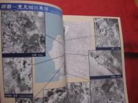 空から見た昔の沖縄　　　　沖縄島中部　・　南部域の空中写真　　　　　沖縄県史ビジュアル版　１０　　近代　３  　　      【沖縄・琉球・歴史・文化・写真本】