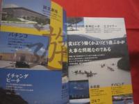 豚の耳から離婚慰謝料まで    値段でわかる沖縄庶民ライフ   　　    【沖縄・琉球・歴史・文化・物価・沖縄県民気質】