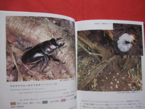 ☆沖縄昆虫野外観察図鑑 第3巻 半翅目 双翅目 膜翅目 脈翅目