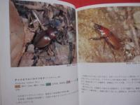 沖縄昆虫野外観察図鑑 　   第２巻　    甲虫目      【沖縄・琉球・自然・生物・昆虫】