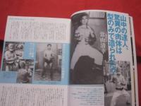 沖縄空手ＳＴＹＬＥ　　　 　沖縄空手スタイル　　 　  　　　　【沖縄・琉球・伝統・文化・武道】 