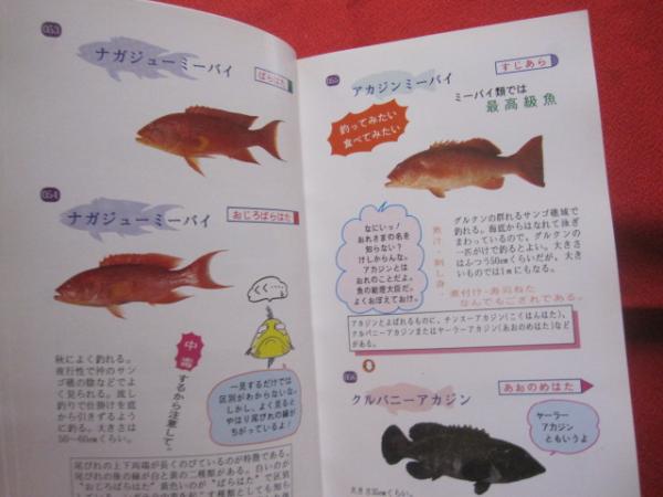 おきなわ 魚 おもしろハンドブック 沖縄 琉球 生物 動物 自然 図鑑 著者 泉見 亨 編集 epoch 編集部 文華堂書店 古本 中古本 古書籍の通販は 日本の古本屋 日本の古本屋 おきなわ 魚 おもしろハンドブック 沖縄 琉球 生物 動物 自然 図鑑 著者 泉見 亨 編集 epoch 編集部 文華堂書店 古本 中古本 古書籍の通販は 日本の古本屋 日本の古本屋