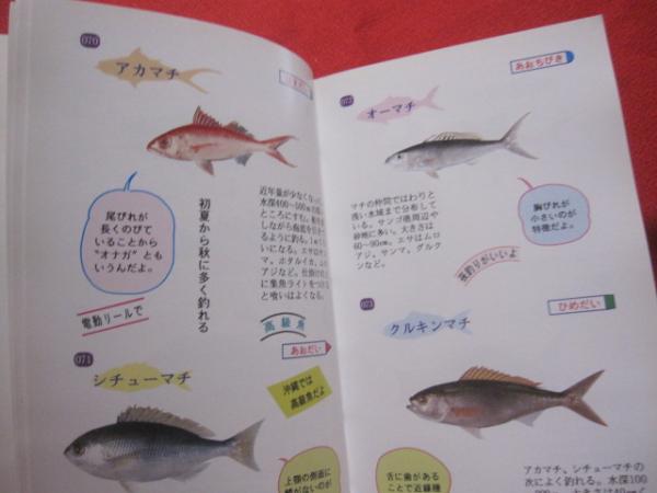 おきなわ 魚 おもしろハンドブック 沖縄 琉球 生物 動物 自然 図鑑 著者 泉見 亨 編集 ｅｐｏｃｈ 編集部 文華堂書店 古本 中古本 古書籍の通販は 日本の古本屋 日本の古本屋