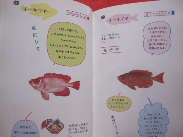 おきなわ 魚 おもしろハンドブック 沖縄 琉球 生物 動物 自然 図鑑 著者 泉見 亨 編集 epoch 編集部 文華堂書店 古本 中古本 古書籍の通販は 日本の古本屋 日本の古本屋 おきなわ 魚 おもしろハンドブック 沖縄 琉球 生物 動物 自然 図鑑 著者 泉見 亨 編集 epoch 編集部 文華堂書店 古本 中古本 古書籍の通販は 日本の古本屋 日本の古本屋