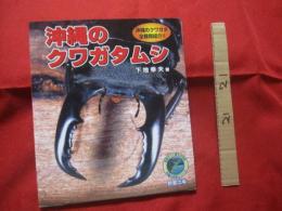 沖縄のクワガタムシ    　　  沖縄のクワガタ全種類紹介！！  　　    見直そう！　  郷土の自然   　　         【沖縄・琉球・自然・生物・生物・動物・昆虫】