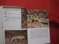 ヒョウモントカゲモドキとその仲間  　  Ｌｅｏｐａｒｄ  Ｇｅｃｋｏ  ａｎｄ  Ｏｔｈｅｒｓ　     【自然・生物・動物・知識】