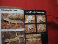 ヒョウモントカゲモドキとその仲間  　  Ｌｅｏｐａｒｄ  Ｇｅｃｋｏ  ａｎｄ  Ｏｔｈｅｒｓ　     【自然・生物・動物・知識】