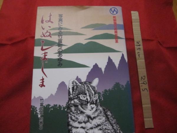 Amazon.co.jp: 八重山民俗誌 上下巻揃い 喜舎場 永珣 著 沖縄