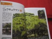 ☆沖縄の庭を見直そう　　　　琉球ガーデンＢＯＯＫ　　　　 【沖縄・琉球・自然・植物・ガーデニング】