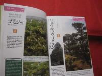 ☆沖縄の庭を見直そう　　　　琉球ガーデンＢＯＯＫ　　　　 【沖縄・琉球・自然・植物・ガーデニング】