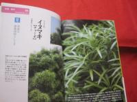 ☆沖縄の庭を見直そう　　　　琉球ガーデンＢＯＯＫ　　　　 【沖縄・琉球・自然・植物・ガーデニング】