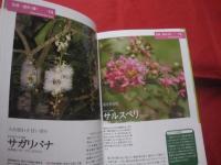 ☆沖縄の庭を見直そう　　　　琉球ガーデンＢＯＯＫ　　　　 【沖縄・琉球・自然・植物・ガーデニング】