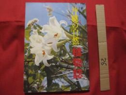 ☆沖縄の自然　　　植物誌 　　　　カラー百科シリーズ　　⑦　　　　　　 【琉球・自然・生物・図鑑】