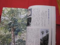 ☆沖縄の自然　　　植物誌 　　　　カラー百科シリーズ　　⑦　　　　　　 【琉球・自然・生物・図鑑】