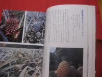 ☆沖縄の自然　　　植物誌 　　　　カラー百科シリーズ　　⑦　　　　　　 【琉球・自然・生物・図鑑】