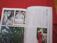 ☆沖縄の自然　　　植物誌 　　　　カラー百科シリーズ　　⑦　　　　　　 【琉球・自然・生物・図鑑】