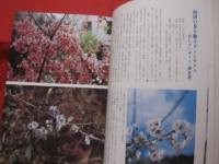 ☆沖縄の自然　　　植物誌 　　　　カラー百科シリーズ　　⑦　　　　　　 【琉球・自然・生物・図鑑】