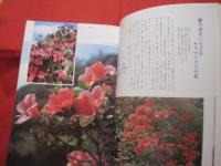 ☆沖縄の自然　　　植物誌 　　　　カラー百科シリーズ　　⑦　　　　　　 【琉球・自然・生物・図鑑】