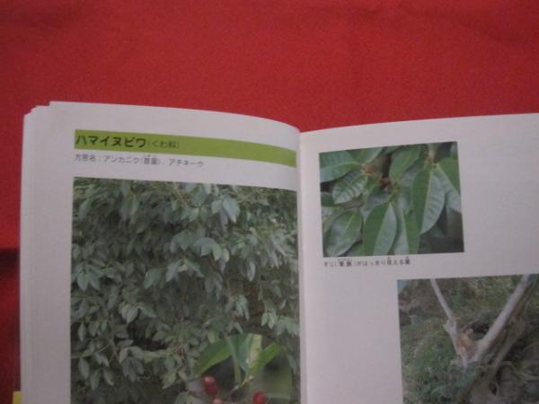 この花な んだ 親子で見る 沖縄の身近な植物図鑑 沖縄 琉球 自然 草 木 著者 いじゅの会 文華堂書店 古本 中古本 古書籍の通販は 日本の古本屋 日本の古本屋