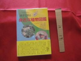 ★この花な～んだ 　 親子で見る　  沖縄の身近な植物図鑑　　　     【沖縄・琉球・自然・草・木】