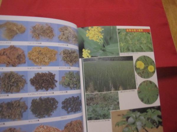 誰にでもできる薬草の利用法 おきなわの薬草百科 （復刻版） 沖縄の
