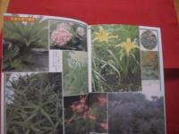 誰にでもできる薬草の利用法 おきなわの薬草百科 （復刻版） 沖縄の