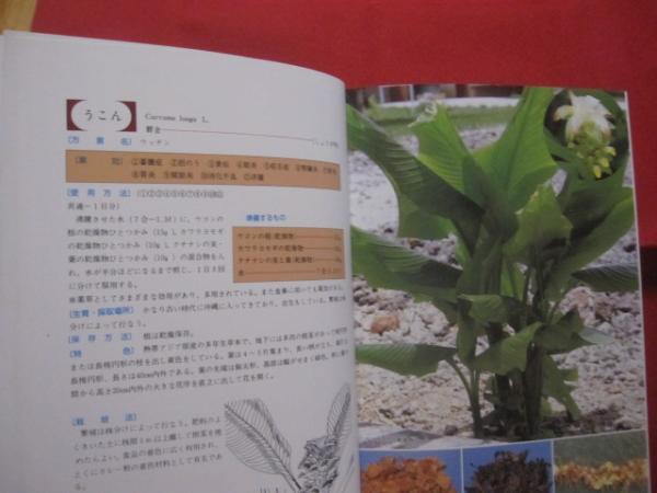 おきなわの薬草百科 那覇出版