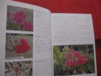 ☆沖縄の自然　　　　 熱帯花木　　　　 カラー百科シリーズ  　　⑤　　　　　 【沖縄・琉球・自然・植物・樹木】　