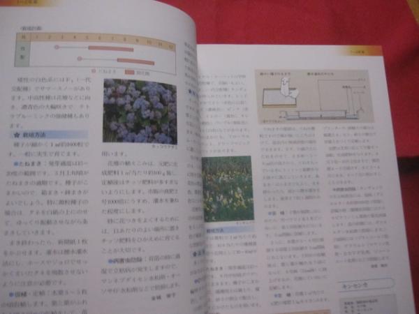 原色版 沖縄園芸百科 ◇ 花づくり 庭づくり 【沖縄・琉球・自然