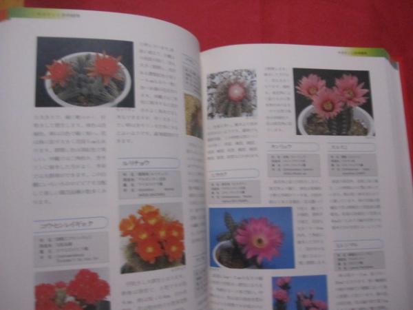 ☆原色版 沖縄園芸百科 ◇ 花づくり 庭づくり 【沖縄・琉球