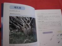 沖縄の帰化動物        ◆海をこえてきた生きものたち 　          【沖縄・琉球・自然・生物】