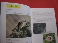 沖縄の帰化動物        ◆海をこえてきた生きものたち 　          【沖縄・琉球・自然・生物】