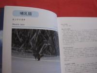 ☆沖縄の帰化動物         ◆海をこえてきた生きものたち                【沖縄・琉球・自然・生物】