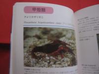 ☆沖縄の帰化動物         ◆海をこえてきた生きものたち                【沖縄・琉球・自然・生物】