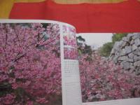 写真集  　　世界遺産  　　今帰仁城跡の四季  　　往時を偲ばせる風景が時を超え、目前に迫る 　　 　　　　   【沖縄・琉球・歴史・文化・自然・風景】