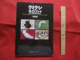 ☆ウミウシガイドブック 　　　　　沖縄・慶良間諸島の海から　　　　　　 【沖縄・琉球・海洋生物・自然】